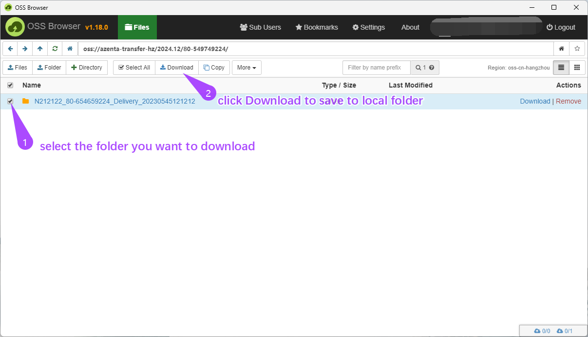 Download Interface