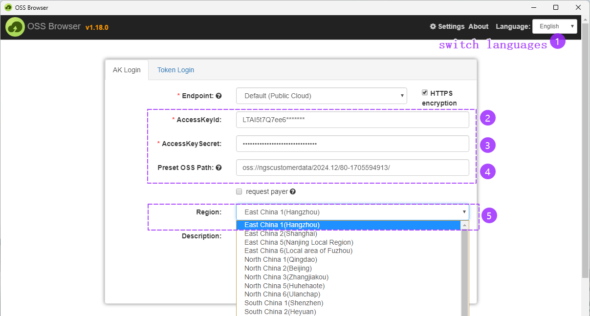 Login Interface