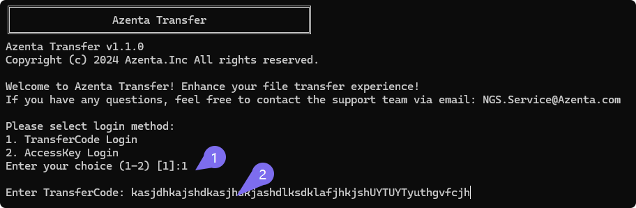 Login Interface